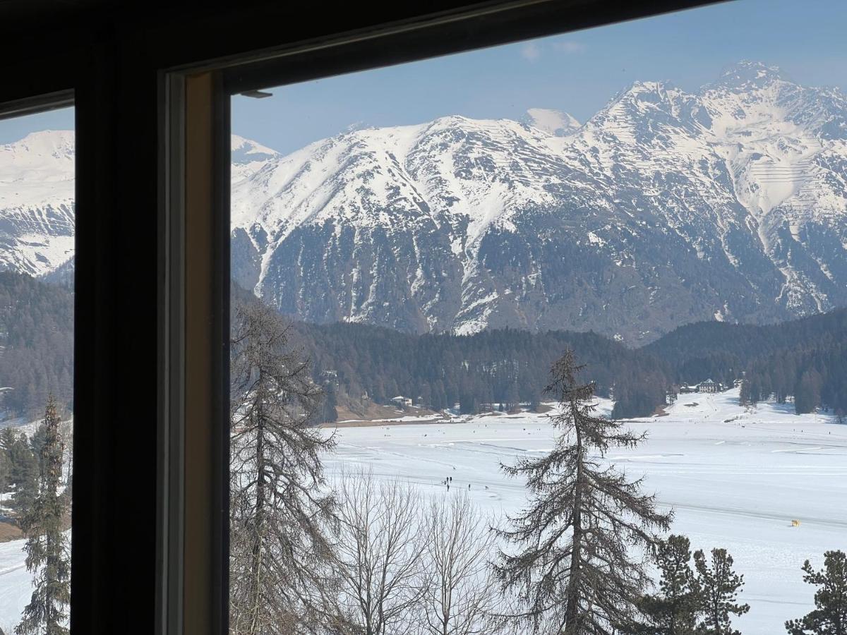 Chesa Sonnalpine B 33 Lägenhet St. Moritz Exteriör bild